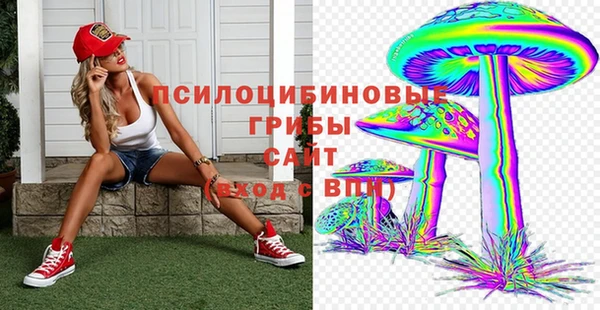 первитин Алексин