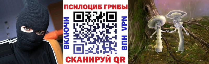 Псилоцибиновые грибы Psilocybine cubensis  где купить наркоту  Лермонтов 