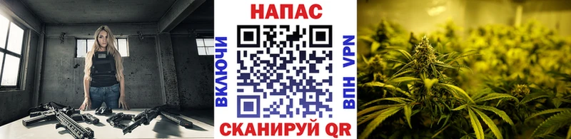 купить   Лермонтов  Бошки Шишки Bruce Banner 